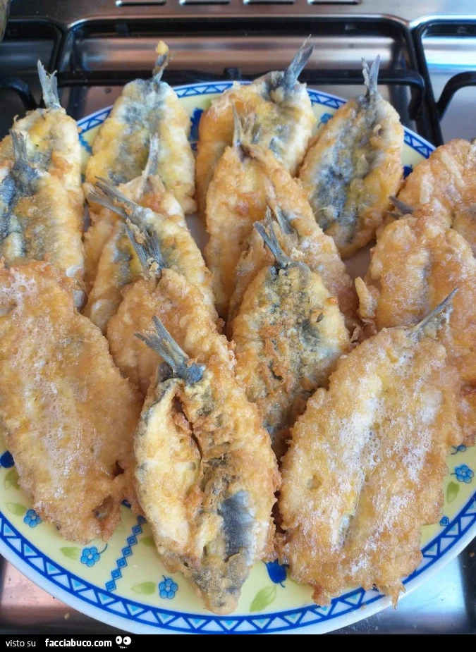 Vaccata