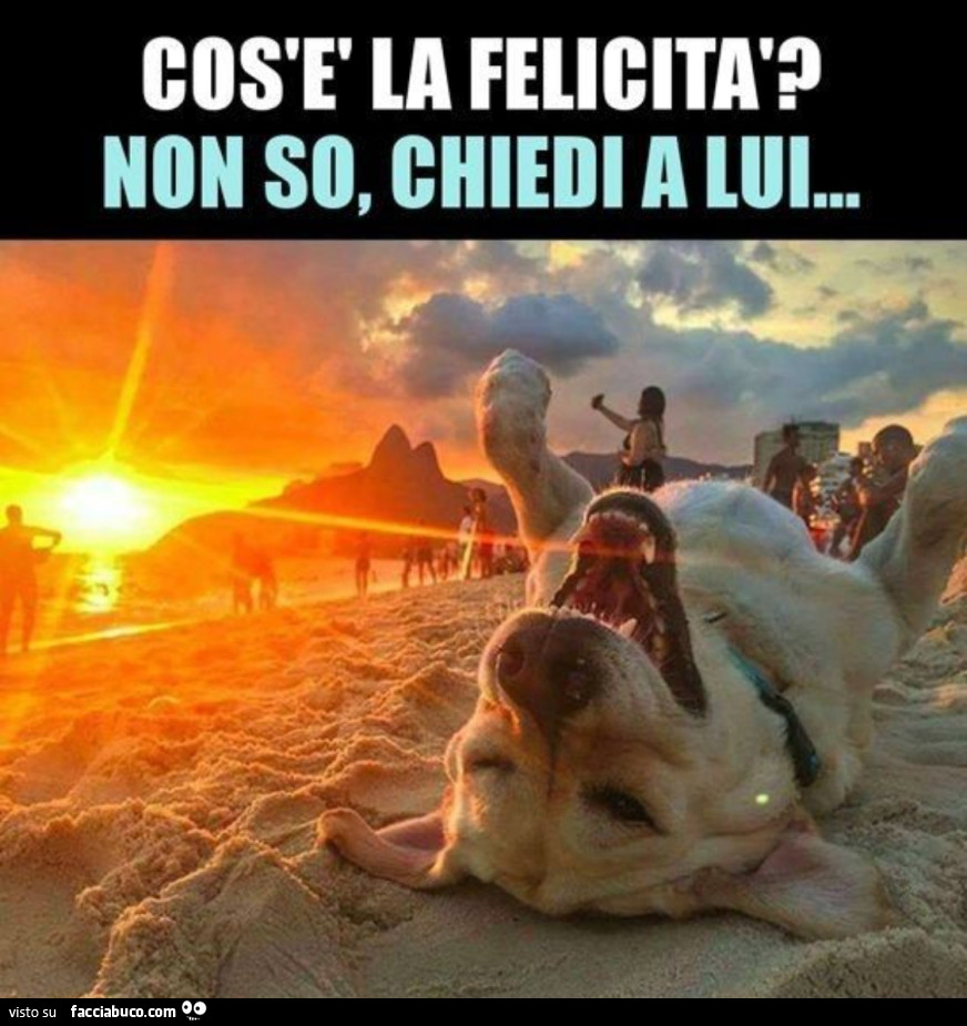 La felicità