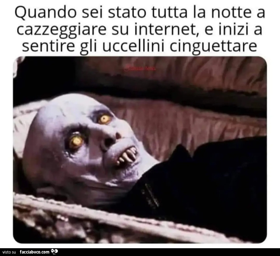 Quando sei stato tutta la notte a cazzeggiare su Internet e inizi a sentire gli uccellini cinguettare