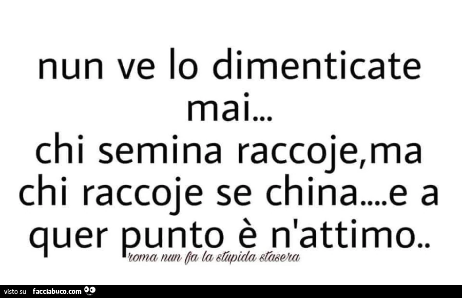 Nun ve lo dimenticate mai&hellip; chi semina raccoje, ma chi raccoje se china&hellip; e a quer punto è n'attimo