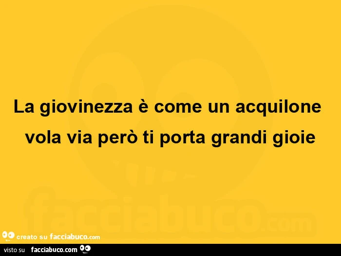La giovinezza è come un acquilone vola via però ti porta grandi gioie