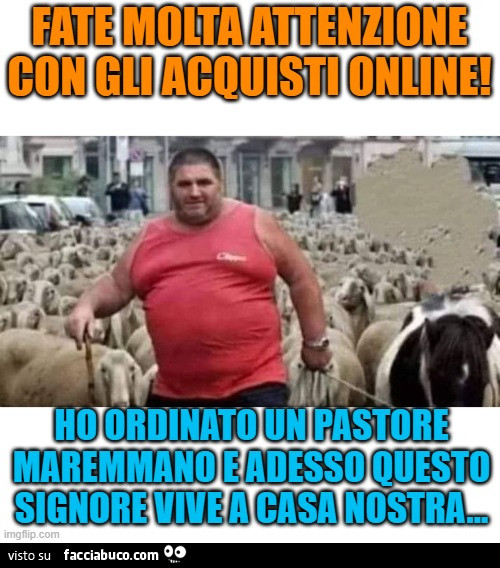 Vaccata