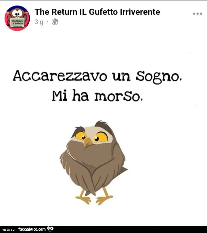 Accarezzavo un sogno. Mi ha morso