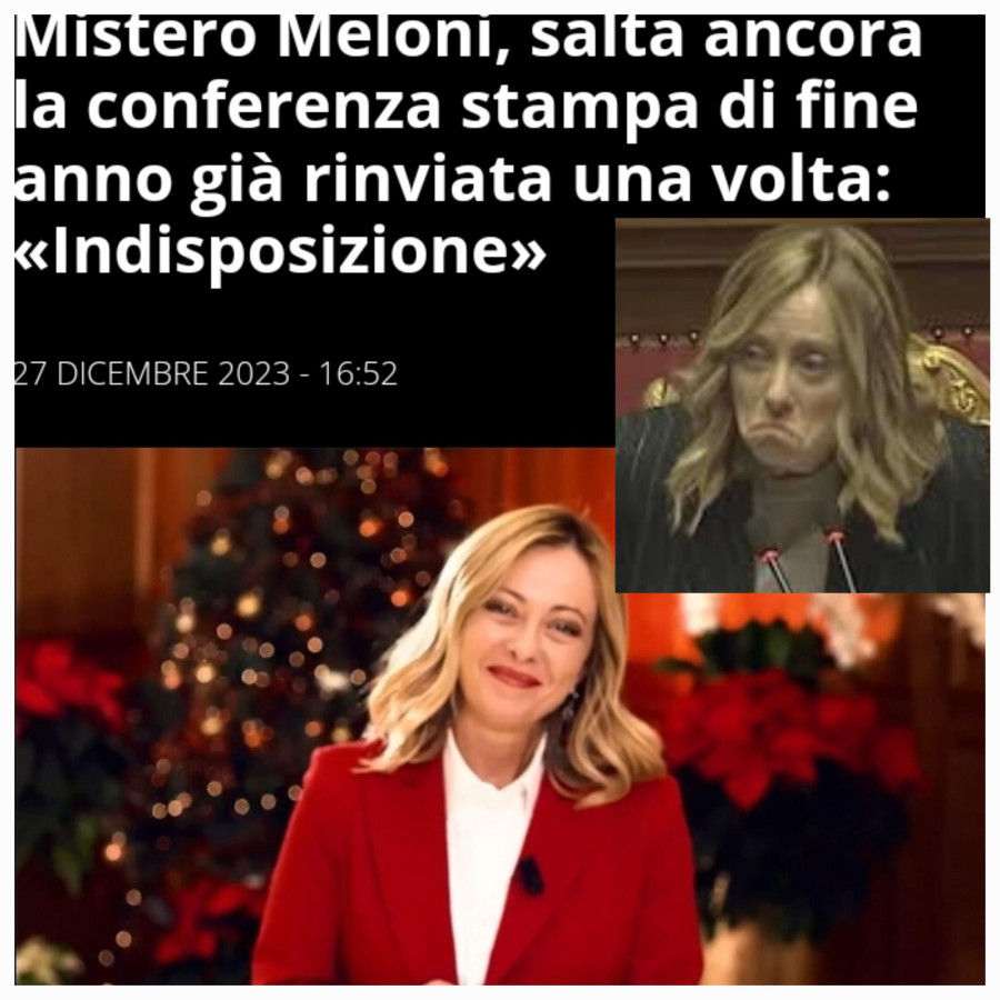 Allergia Meloni giornalisti