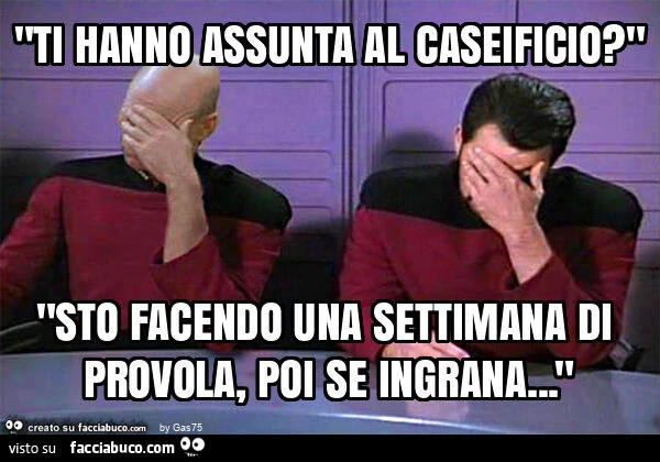 "ti hanno assunta al caseificio? " "Sto facendo una settimana di provola, poi se ingrana&hellip; "
