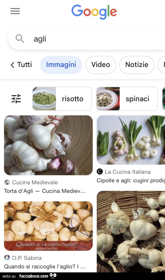 Vaccata