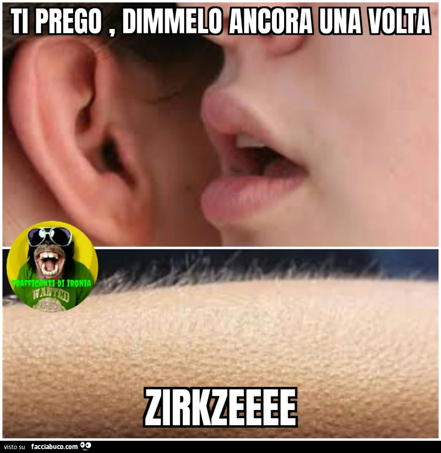 Ti prego dimmelo ancora una volta zirkzeee