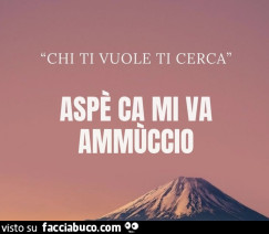 Vaccata