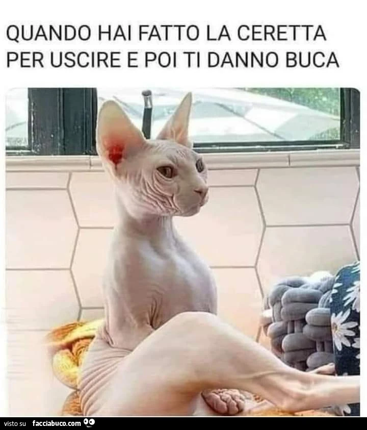 Vaccata