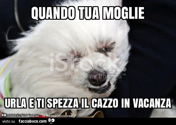 Quando tua moglie urla e ti spezza il cazzo in vacanza