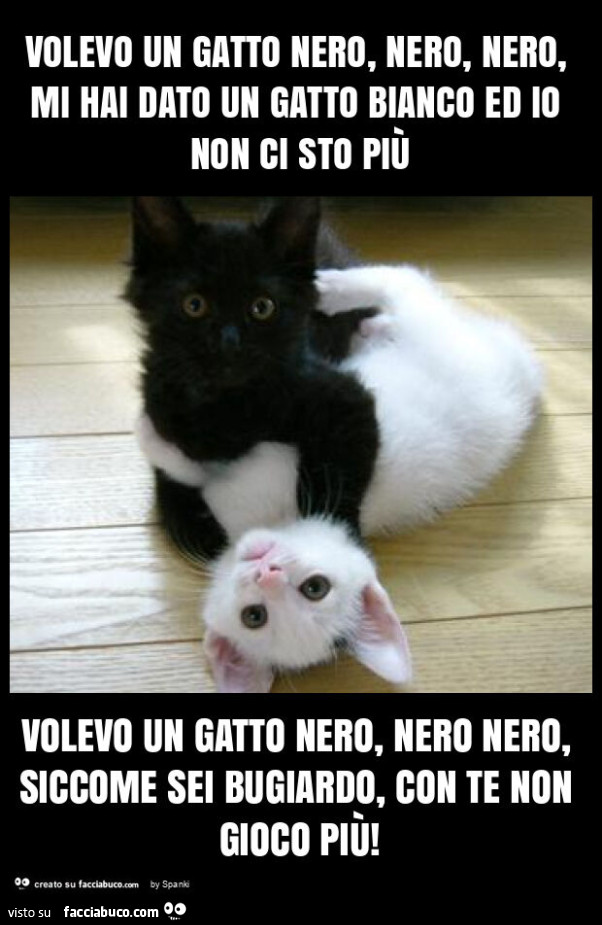 Volevo un gatto nero, nero, nero, mi hai dato un gatto bianco ed io non ci  sto pi… 