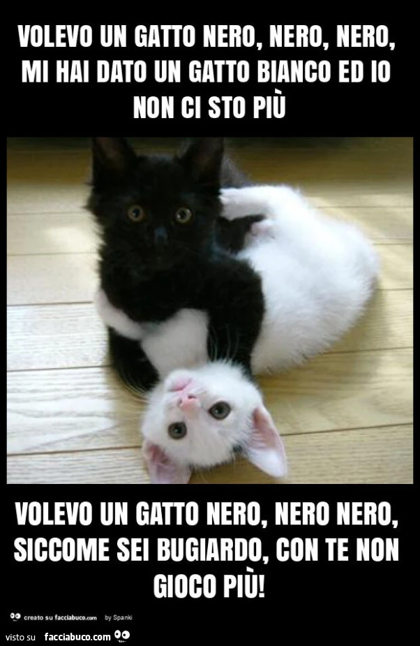 Volevo un gatto nero, nero, nero, mi hai dato un gatto bianco ed io non ci sto più volevo un gatto nero, nero nero, siccome sei bugiardo, con te non gioco più