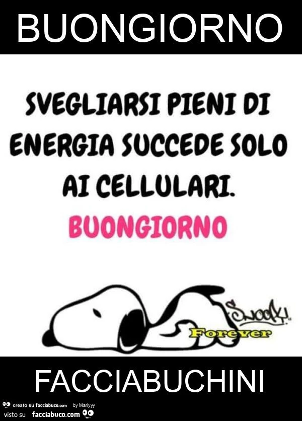 Buongiorno facciabuchini