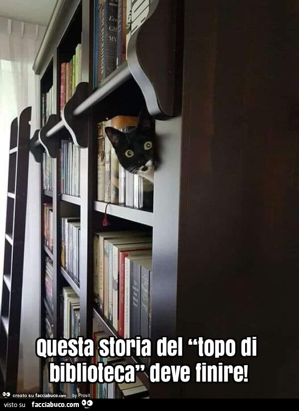 Questa storia del “topo di biblioteca” deve finire