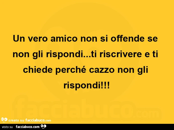 Un vero amico non si offende se non gli rispondi&hellip; ti riscrivere e ti chiede perché cazzo non gli rispondi