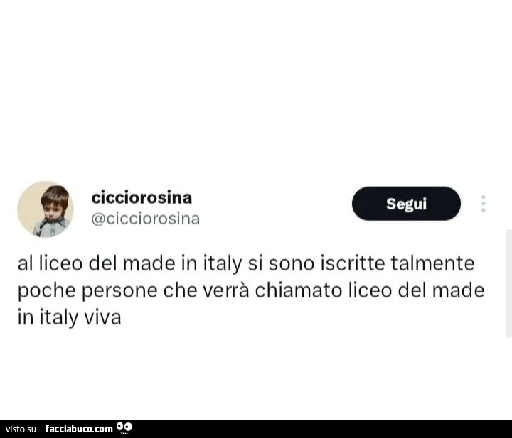 Al liceo del made in italy si sono iscritte talmente poche persone che verrร chiamato liceo del made in italy viva