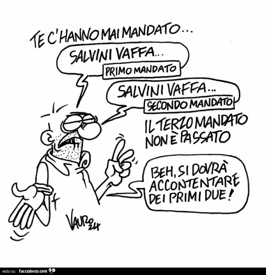 Te c'hanno mai mandato… Salvini vaffa, primo mandato