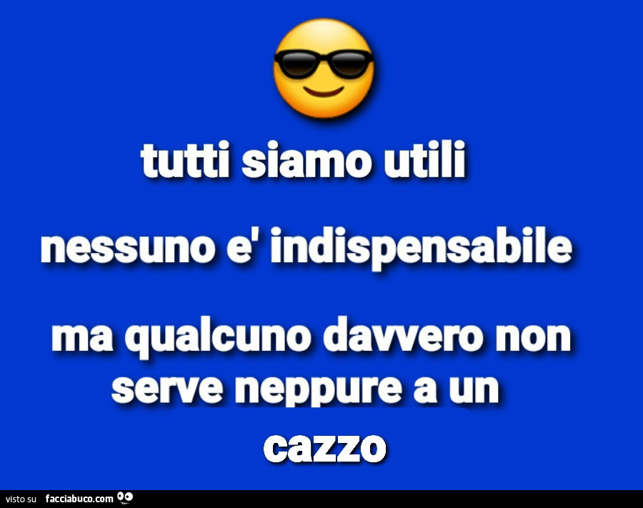 Tutti siamo utili nessuno è indispensabile ma qualcuno davvero non serve neppure a un cazzo