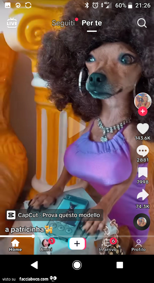 Vaccata