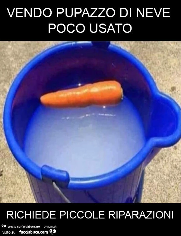 Vendo pupazzo di neve poco usato richiede piccole riparazioni