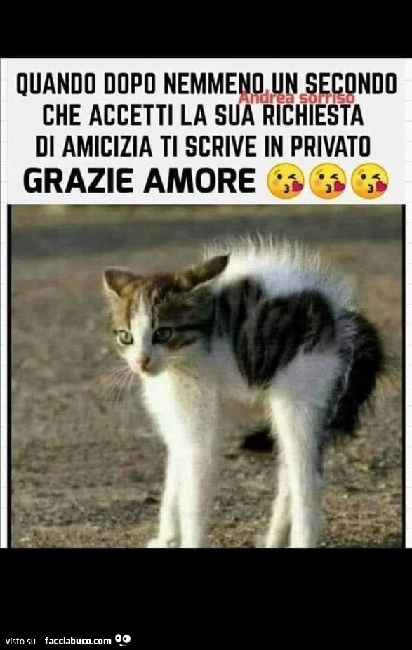 Morte di cazzo