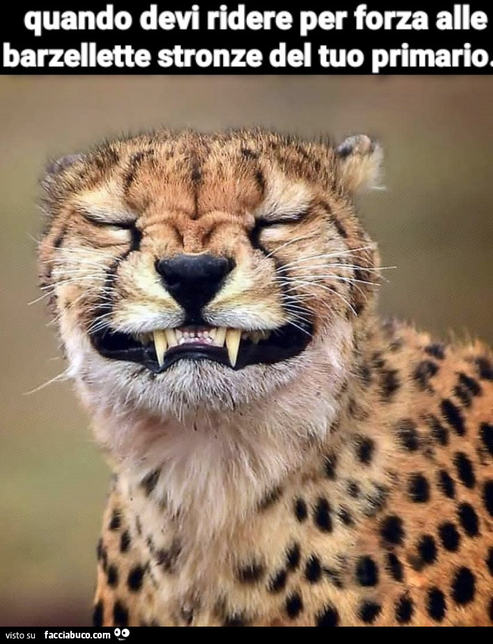 Ridere