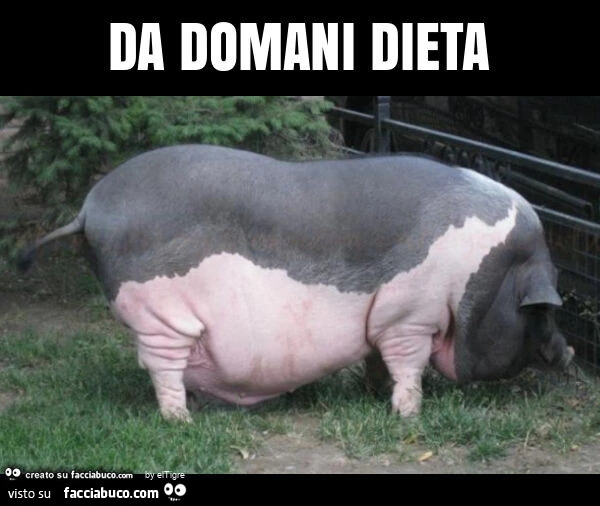 Da domani dieta