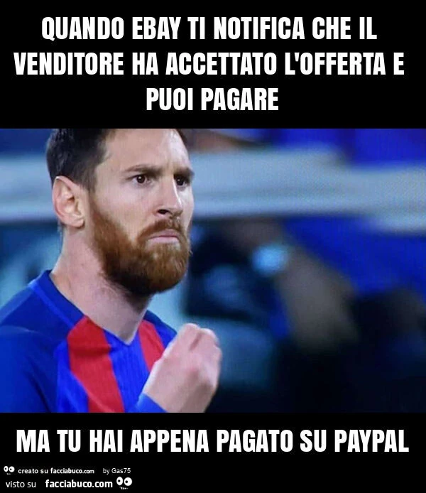 Quando ebay ti notifica che il venditore ha accettato l'offerta e puoi pagare ma tu hai appena pagato su paypal