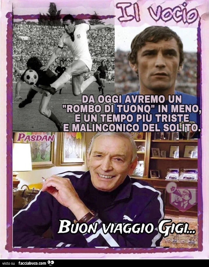 Vaccata
