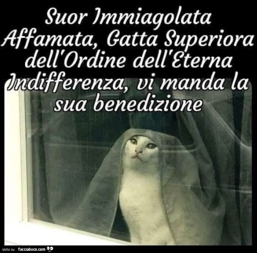 Saluti cena