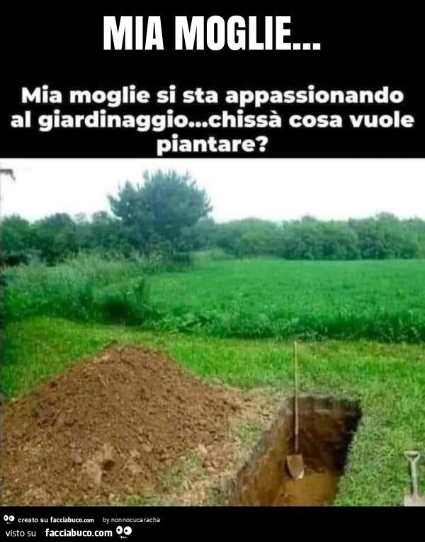 Mia moglie