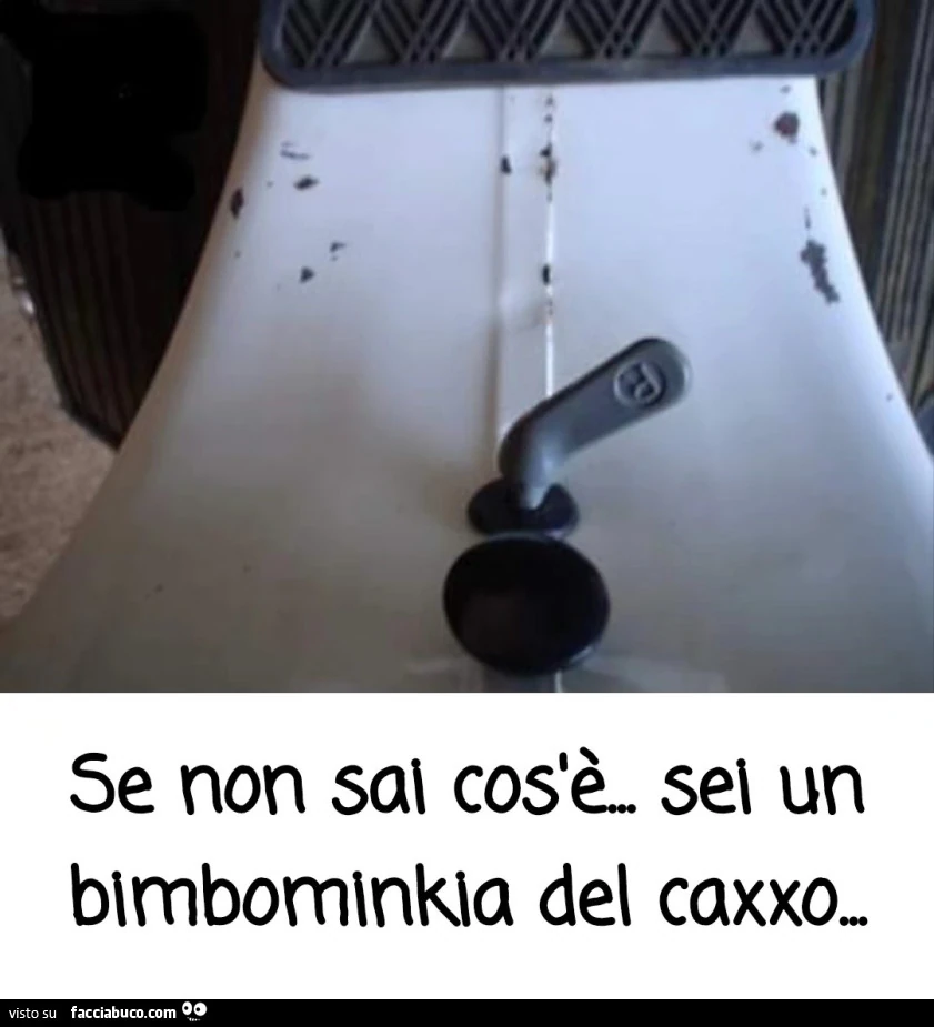Vaccata