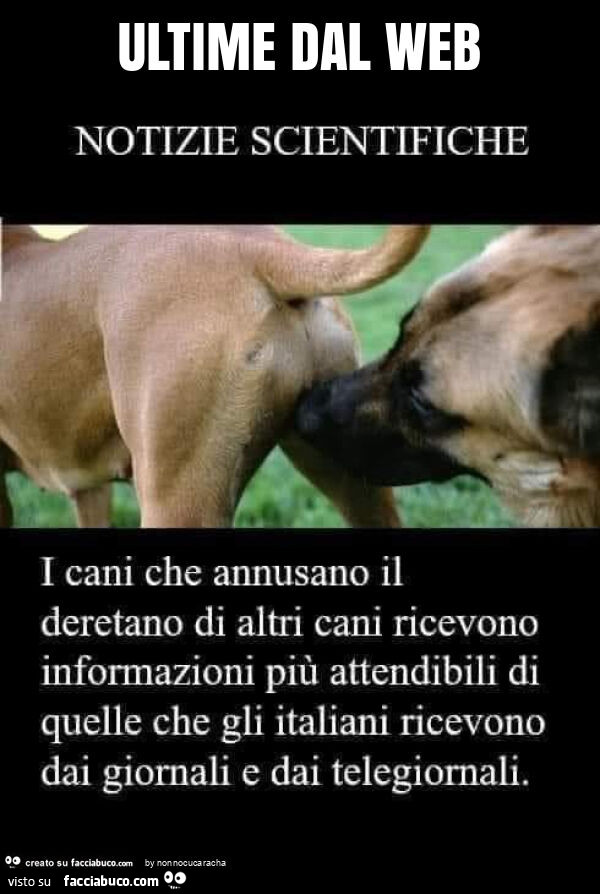 Ultime dal web