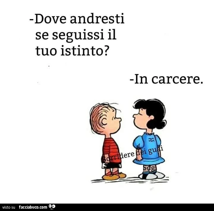 Dove andresti se seguissi il tuo istinto? In carcere