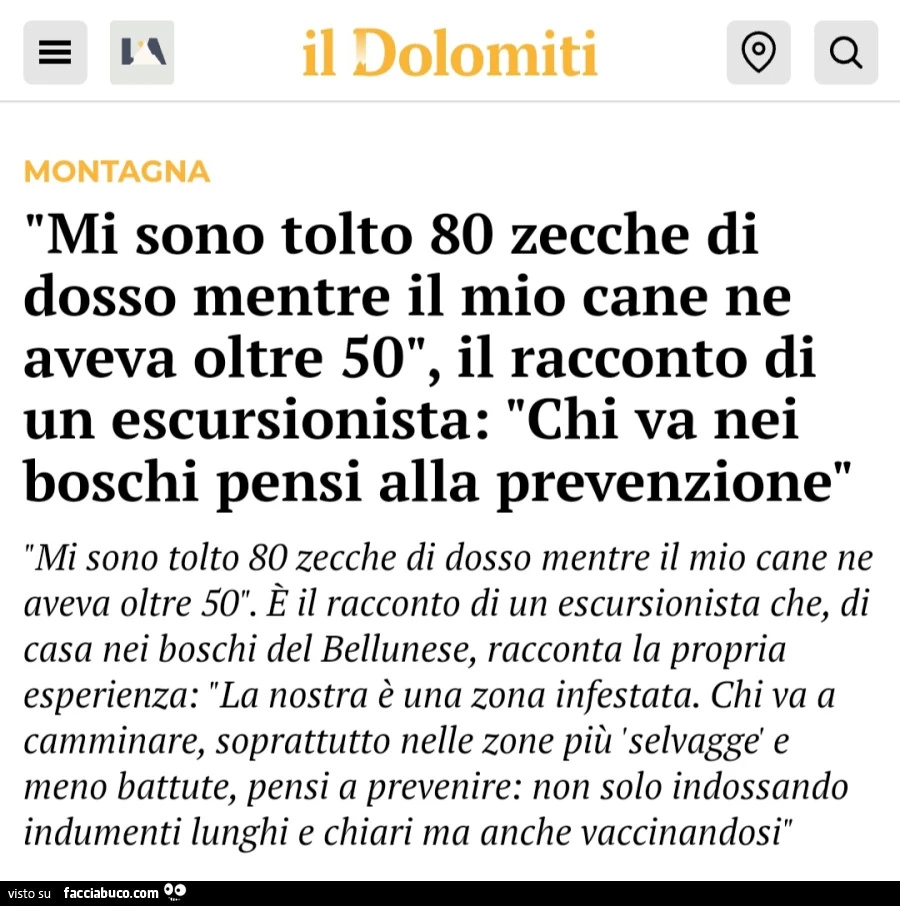 Mi sono tolto 80 zecche di dosso mentre il mio cane ne aveva oltre 50