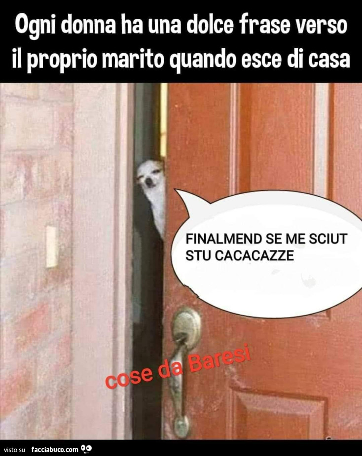 Vaccata