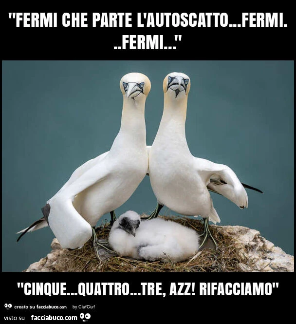"fermi che parte l'autoscatto&hellip; fermi&hellip; fermi&hellip; " "cinque&hellip; quattro&hellip; tre, azz! Rifacciamo"