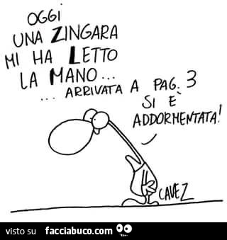 Oggi una zingara mi ha letto la mano… arrivata a pag 3 si è addormentata