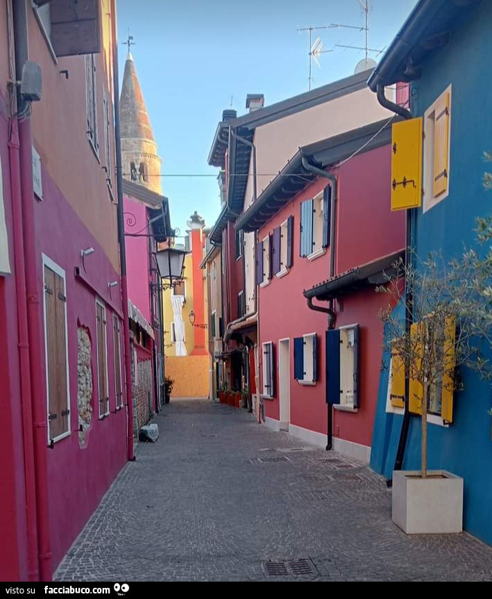 Domenica