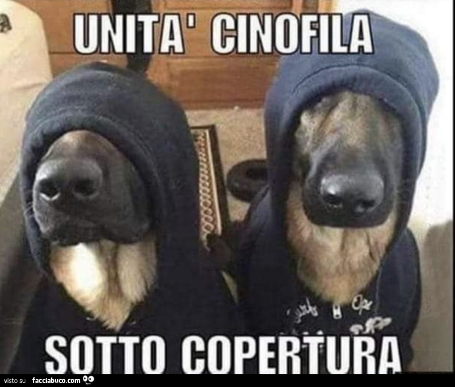 I cani