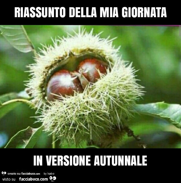 Riassunto della mia giornata in versione autunnale