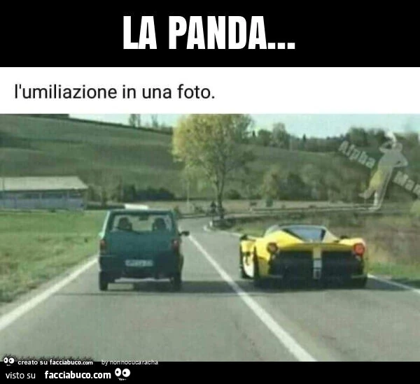 La panda