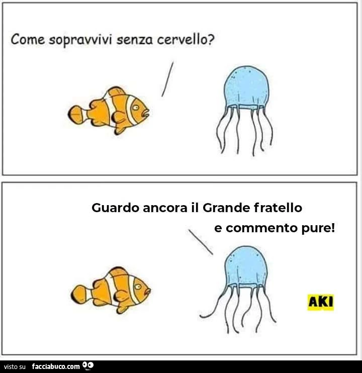 Come sopravvivi senza cervello? Guardo ancora il grande fratello e commento pure