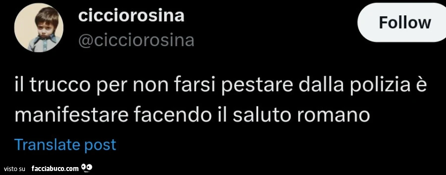 Il trucco per non farsi pestare dalla polizia è manifestare facendo il saluto romano
