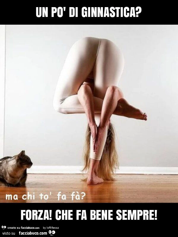 Un po' di ginnastica? Forza! Che fa bene sempre
