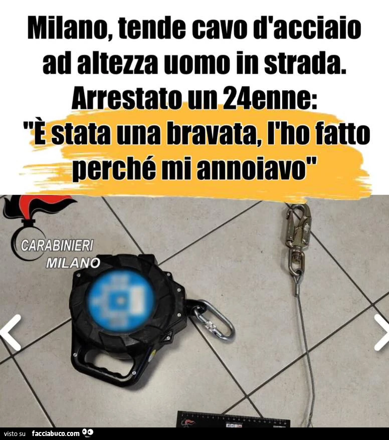 Vaccata