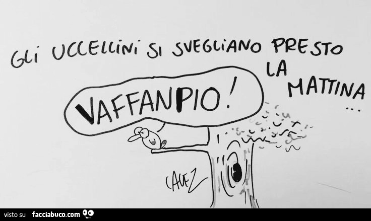 Buongiorno
