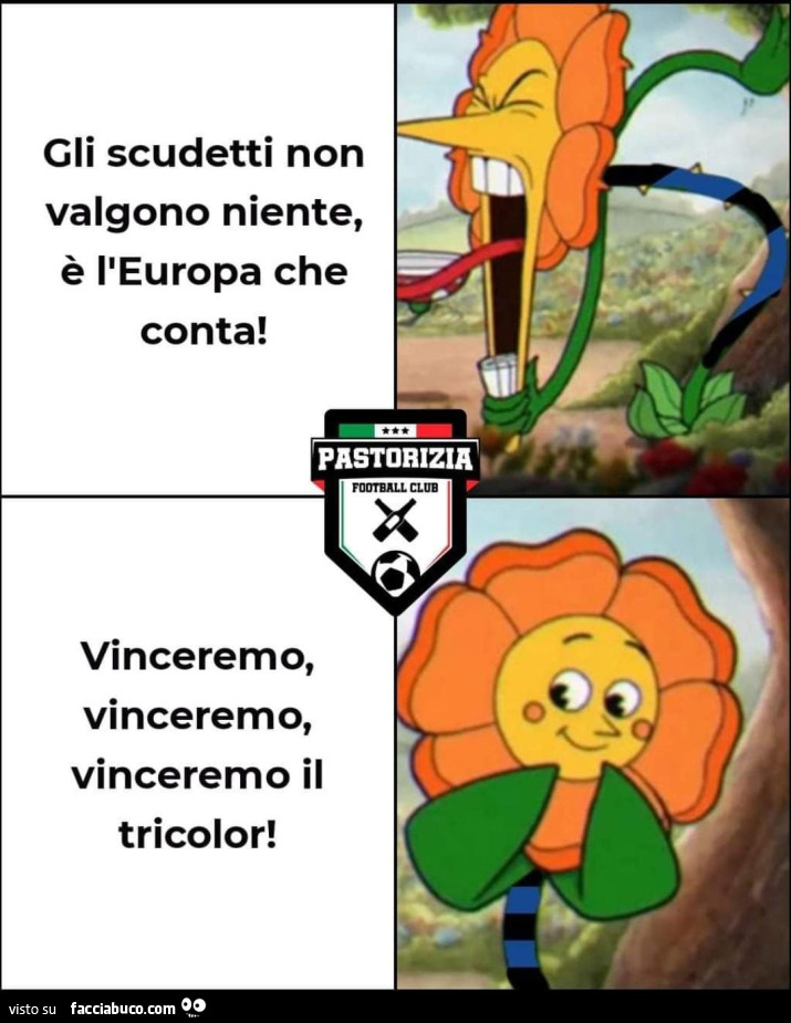 Vaccata