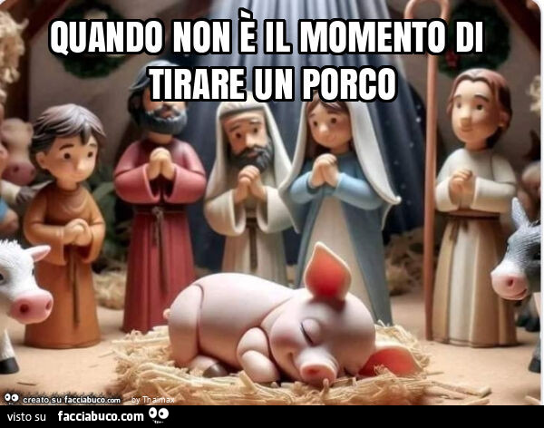 Quando non è il momento di tirare un porco