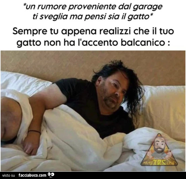 Un rumore proveniente dal garage ti sveglia ma pensi sia il gatto. Sempre tu appena realizzi che il tuo gatto non ha l'accento balcanico